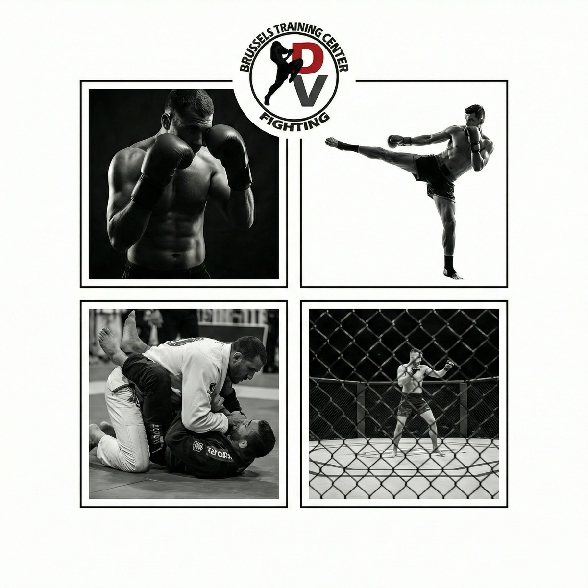 Comparatif des sports de combat à Bruxelles chez Davinci Fighting pour choisir entre boxe, kick boxing, BJJ et MMA